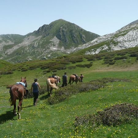 Agriturismo Bio-Ecologico Sant'Isidoro Roccaforte Mondovì Exteriér fotografie