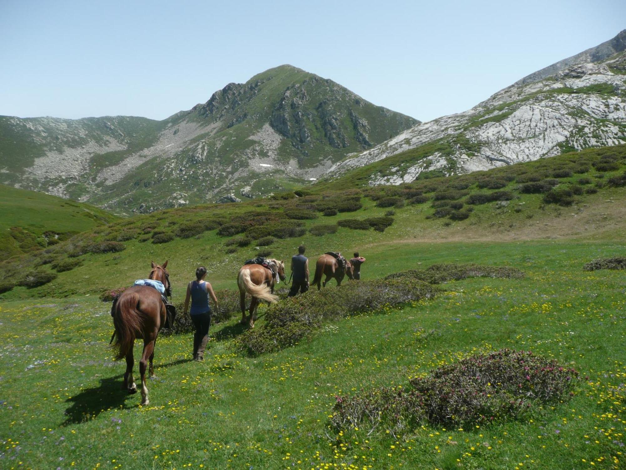 Agriturismo Bio-Ecologico Sant'Isidoro Roccaforte Mondovì Exteriér fotografie