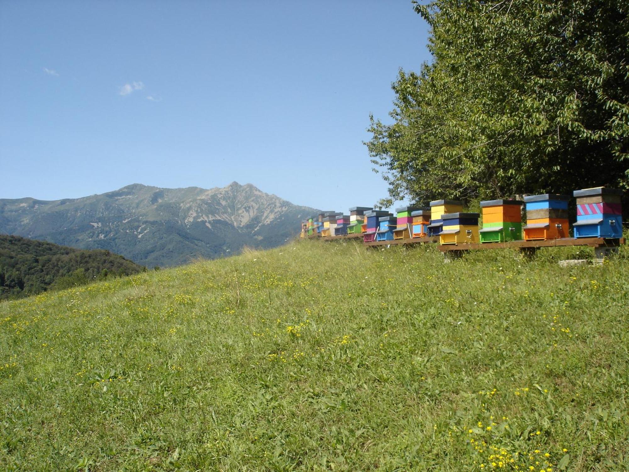 Agriturismo Bio-Ecologico Sant'Isidoro Roccaforte Mondovì Exteriér fotografie