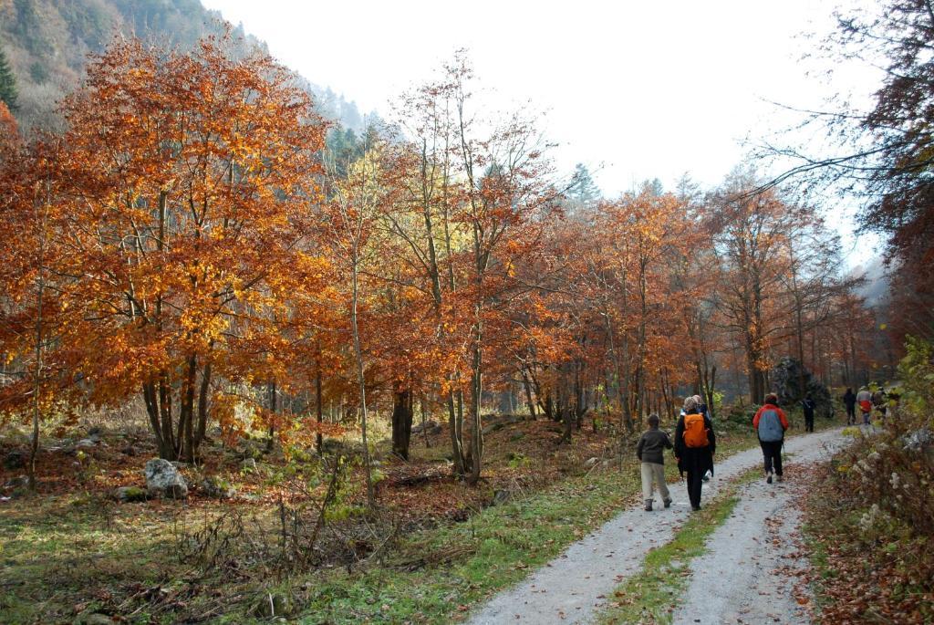 Agriturismo Bio-Ecologico Sant'Isidoro Roccaforte Mondovì Exteriér fotografie